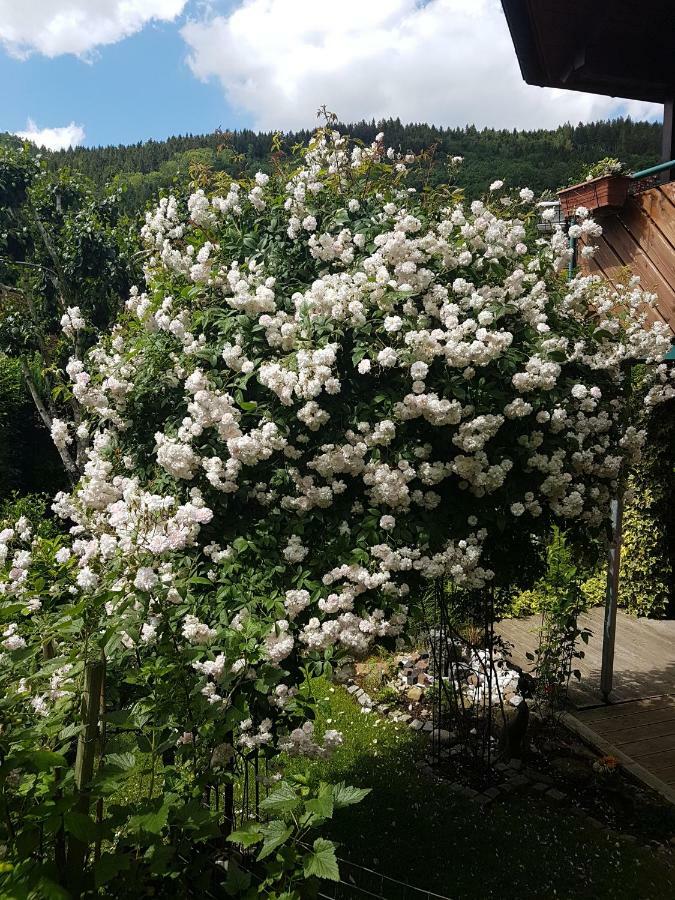 Schwarzwaldhaus Lägenhet Elzach Exteriör bild